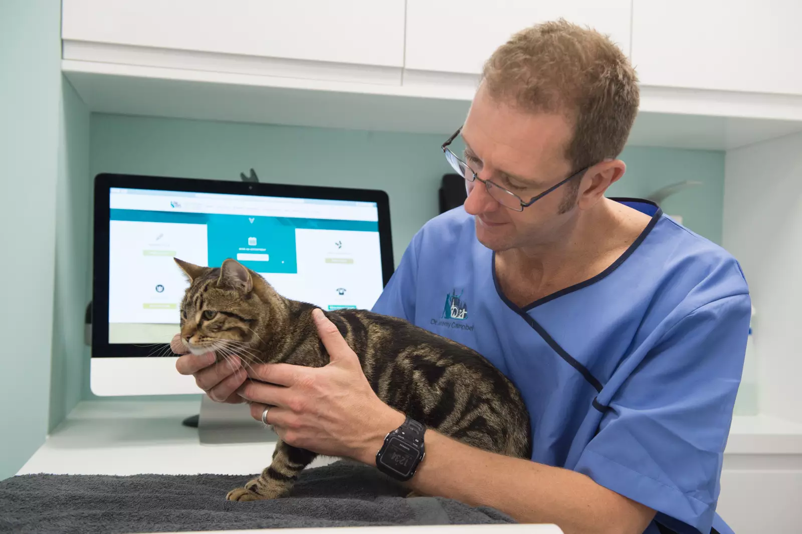 Pioneering Feline Blood Donation: Revolutionizing Cat Healthcare in the UK