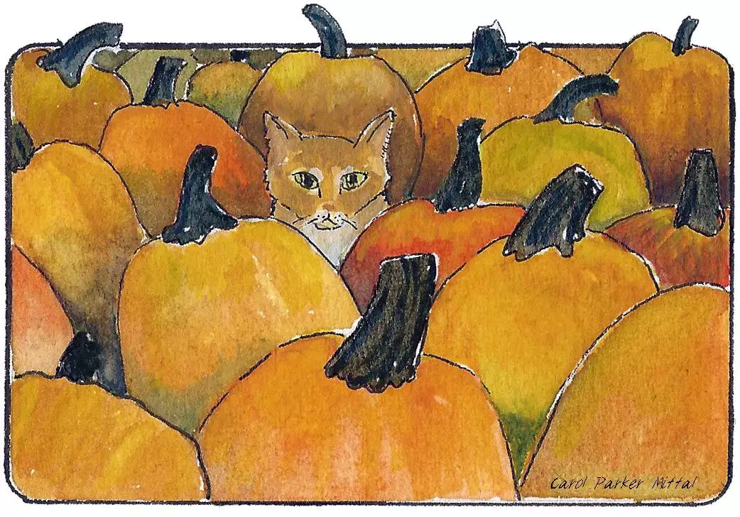 Understanding the Safety of Pumpkins for Pets this Halloween