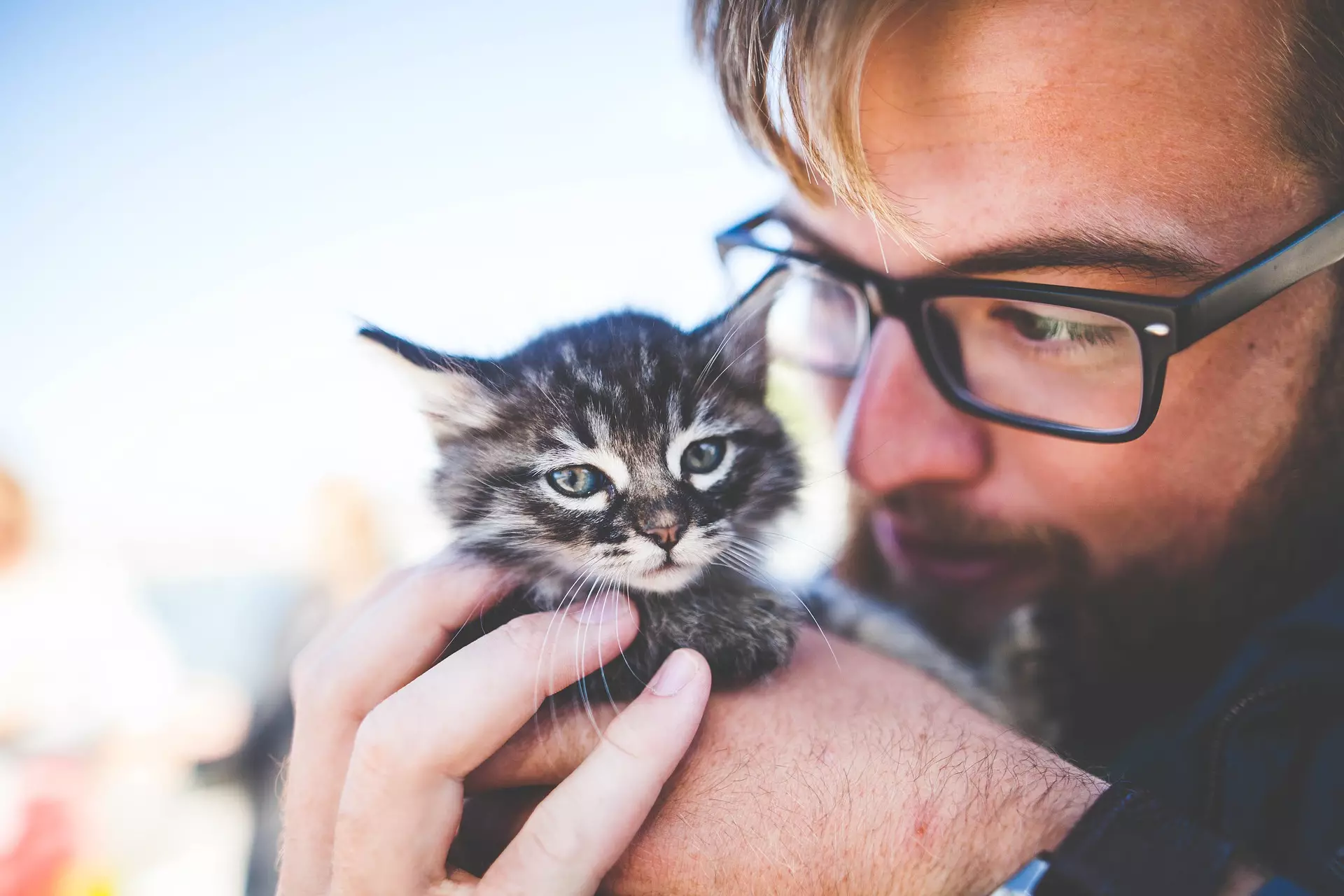 The Health Perks of Co-Sleeping with Your Pet: A Deep Dive into the Benefits