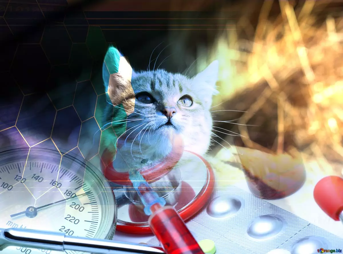 Empowering Animal Care: The Revised WSAVA Essential Medicines List