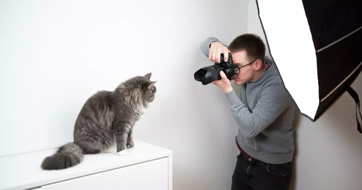 The Art of Capturing Your Cat: A Comprehensive Guide to Pet Photography