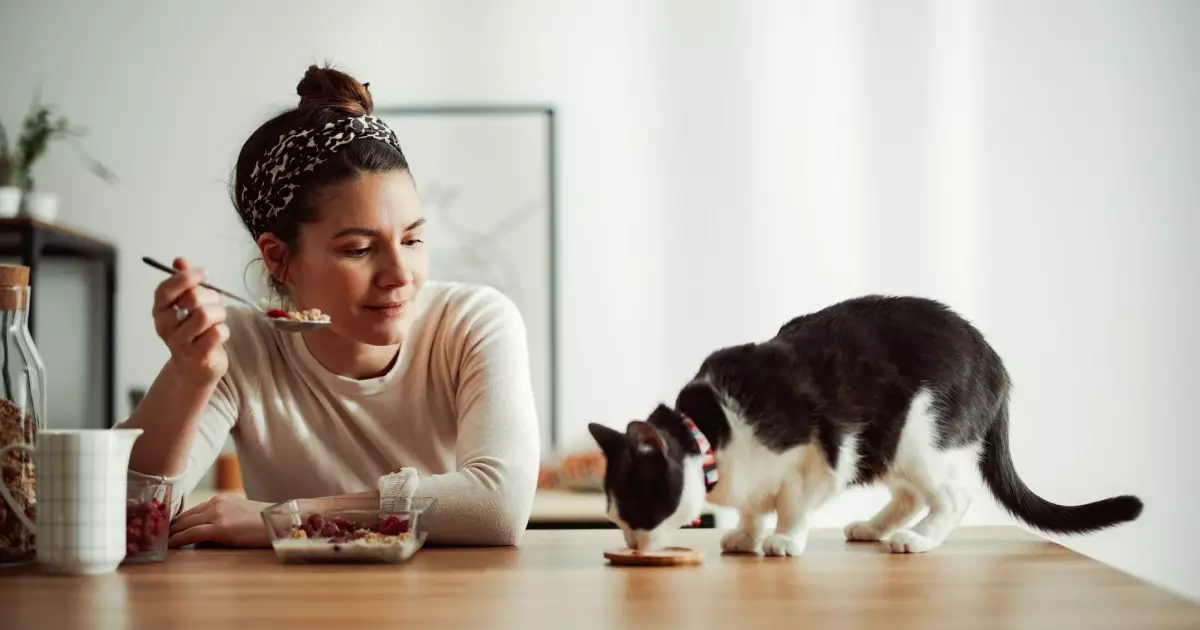 The Pursuit of Purrfection: Avoiding Common Pitfalls in Cat Parenting