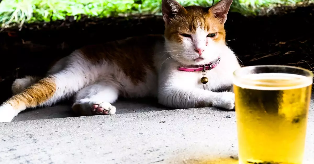 The Rise of Brewery Cats: Furry Guardians of Craft Breweries