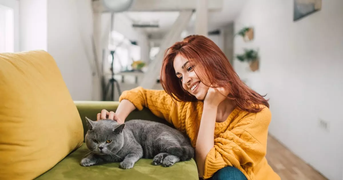 The Purr-fect Guide to Cat-Sitting: Tips for Pet Sitters