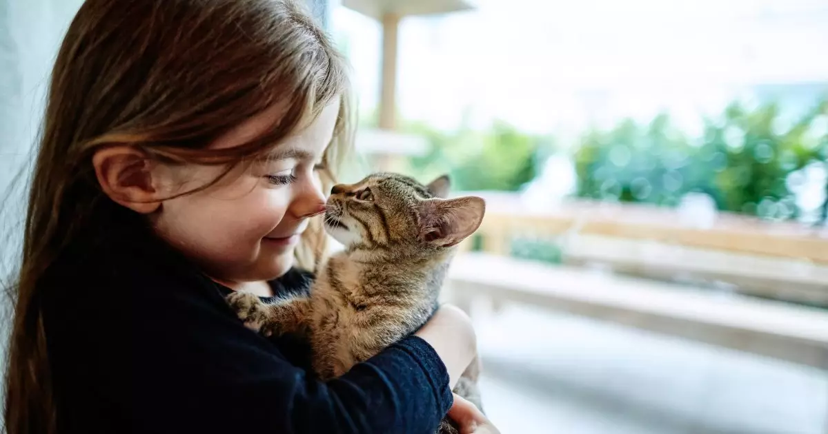 The Enriching Bond Between Cats and Children: A Lifelong Connection