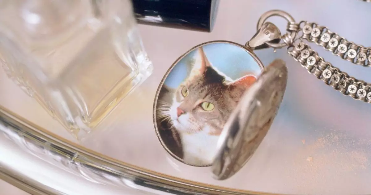 Honoring a Feline Legacy: Creative Ways to Memorialize Your Beloved Cat