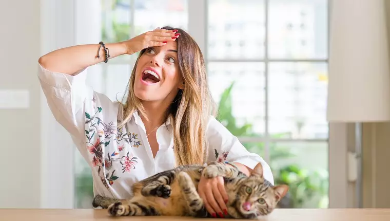 The Essential Guide for First-Time Cat Owners on Ask A Stupid Question Day