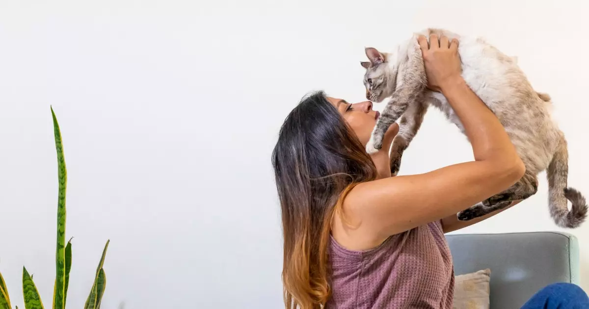 Embracing Change: Preparing Your Home for a New Cat