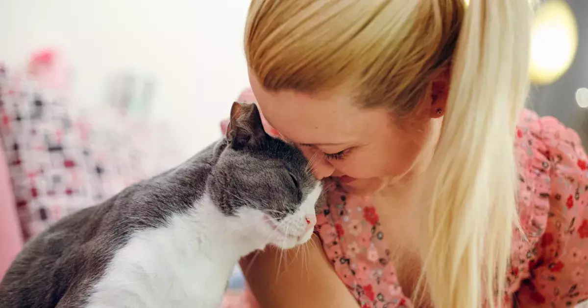 The Surprising Health Perks of Cat Adoption: Why Feline Companionship is Beneficial for Your Well-Being