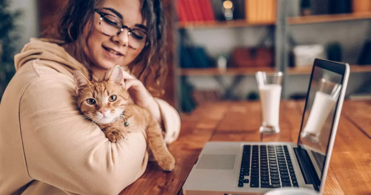 Feline Companions: The Psychological Perks of Working from Home with Cats