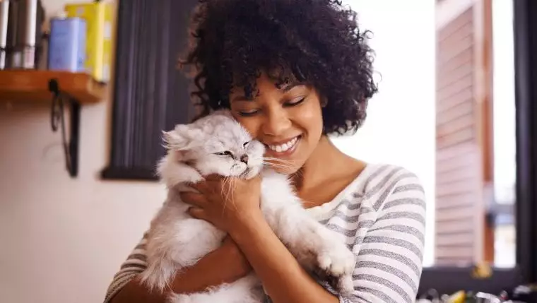 Peace of Mind for Cat Owners: Exploring the Benefits and Costs of Professional Cat Sitting Services