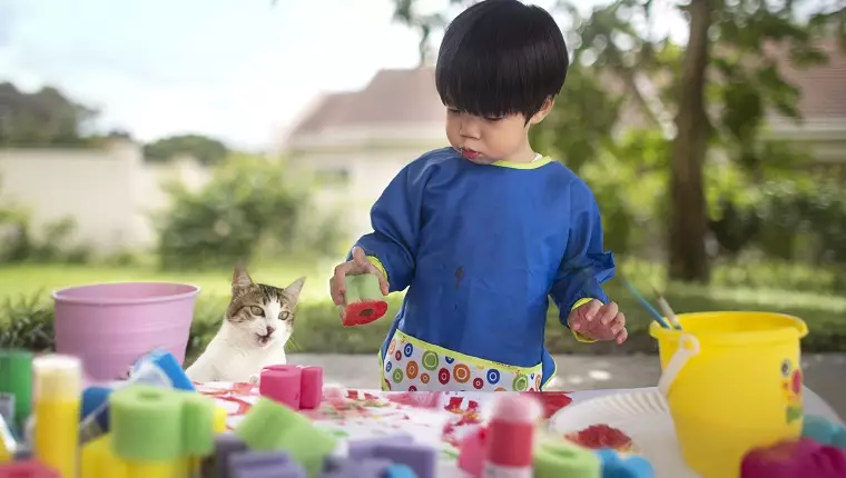 Enchanting Summer Fun: Creative Ways for Kids to Bond with Cats