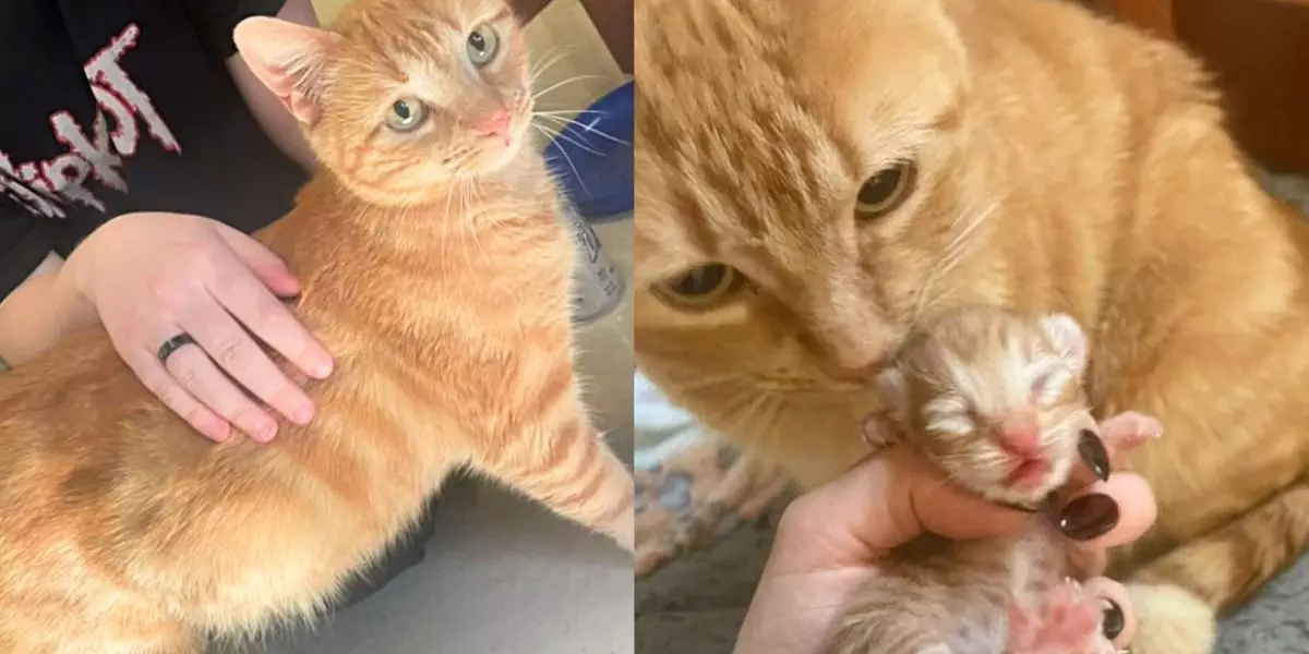 Transformative Tales: Honey’s Journey to a New Life