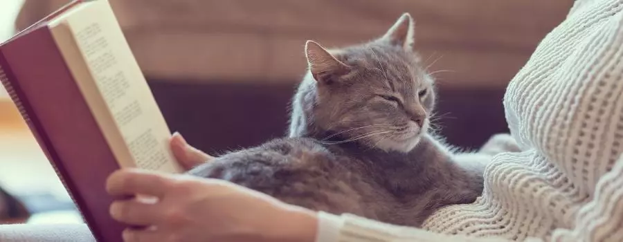 Affordable Ways to Love Your Pets This Valentine’s Day