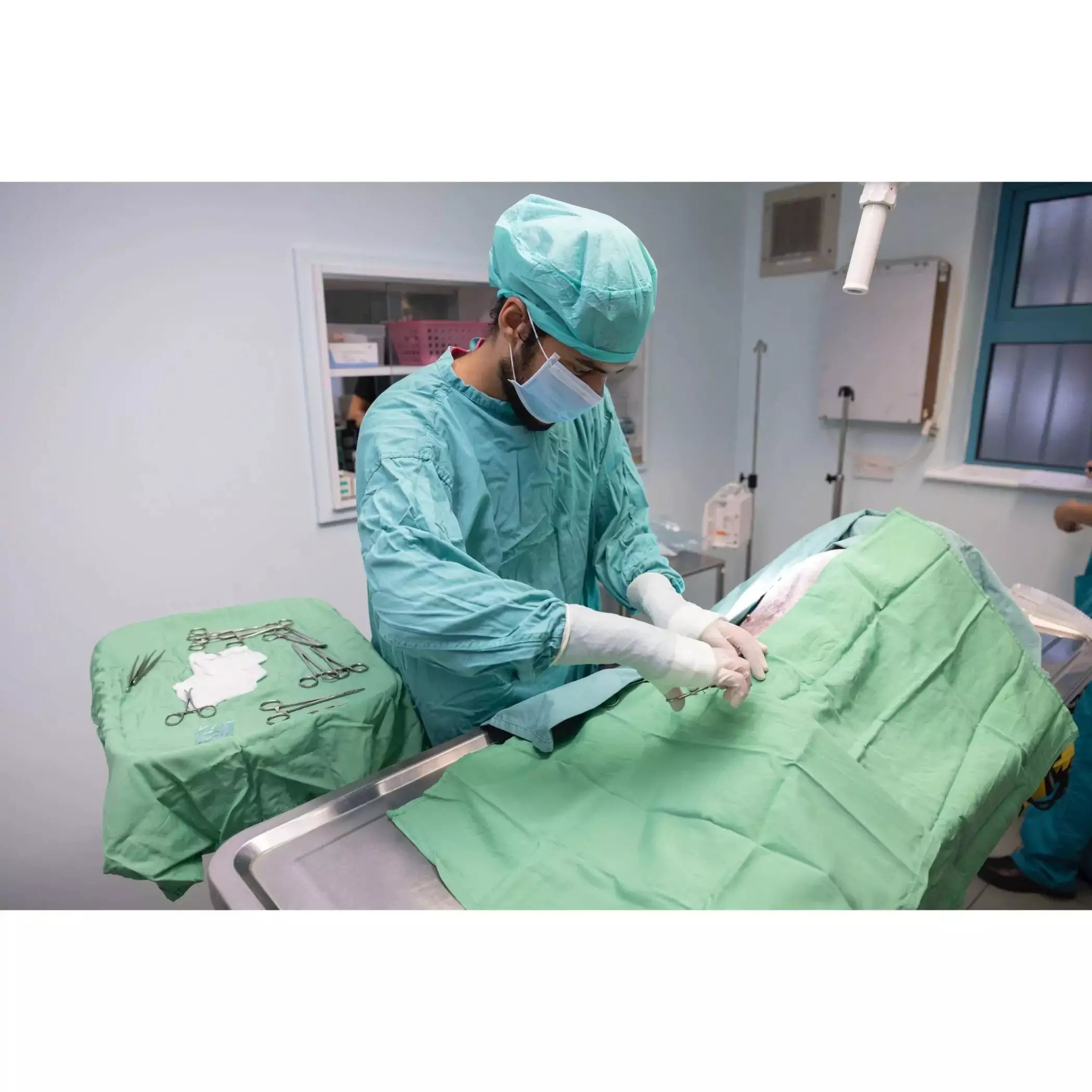 The Unsung Heroes of Veterinary Care: Celebrating Dedication and Compassion