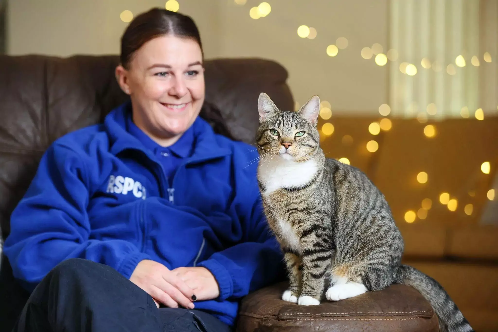 Creating a Joyful Christmas for Our Beloved Pets